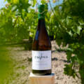Bodega Emina presenta su Emina Gran Vino de Rueda Verdejo Selección Cuvée 2024